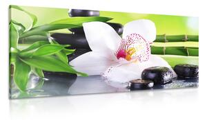 Kép japán orchidea japán témával