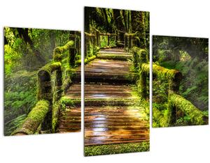 Lépcső az esőerdőben képe (90x60 cm)