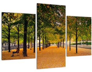 Egy kép az őszi fák sikátorából (90x60 cm)
