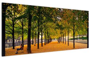 Egy kép az őszi fák sikátorából (120x50 cm)