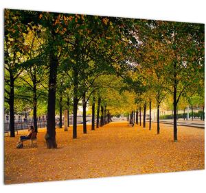 Egy kép az őszi fák sikátorából (70x50 cm)