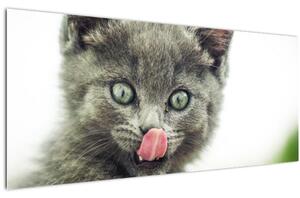 Nyaló cica képe (120x50 cm)