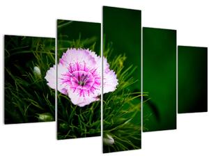Rózsaszín virág képe (150x105 cm)