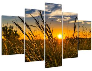 A mező naplementekor képe (150x105 cm)