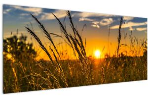 A mező naplementekor képe (120x50 cm)