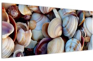 Kagyló képe (120x50 cm)