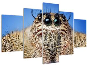 A pók részletének képe (150x105 cm)