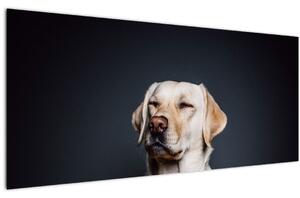 Labrador képe (120x50 cm)