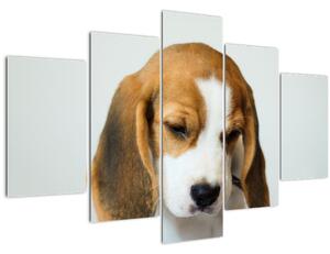 Beagle képe (150x105 cm)