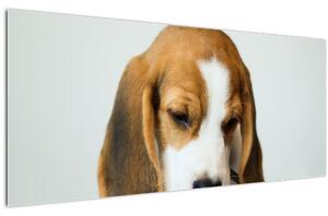 Beagle képe (120x50 cm)
