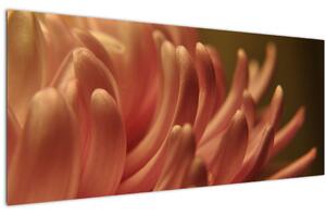 A virág részletének képe (120x50 cm)