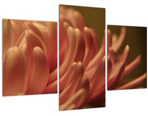 A virág részletének képe (90x60 cm)