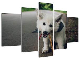 Egy fehér kutya képe (150x105 cm)