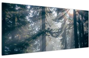 Fák képe a ragyogó nappal (120x50 cm)