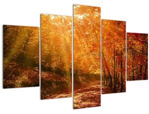Őszi erdő képe (150x105 cm)