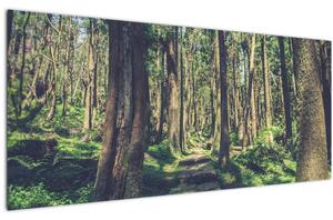 Kép egy út a fák között (120x50 cm)