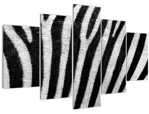 Kép egy zebra bőrről (150x105 cm)