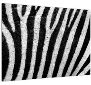 Kép egy zebra bőrről (70x50 cm)