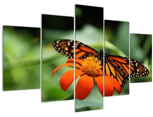 Pillangó képe a virágon (150x105 cm)