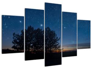 A fák éjjel képe (150x105 cm)