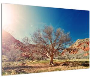 Fa a sivatagban képe (90x60 cm)