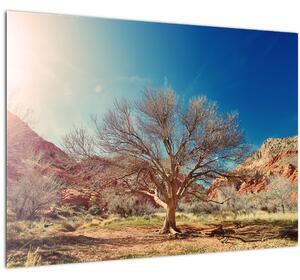 Fa a sivatagban képe (70x50 cm)