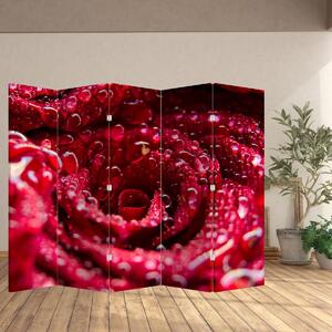 Paraván - Vörös rózsa virágzata (210x170 cm)