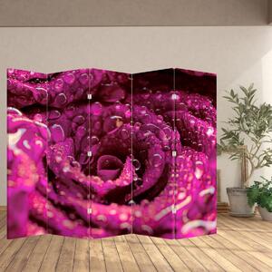 Paraván - Rózsaszín rózsa virágzata (210x170 cm)
