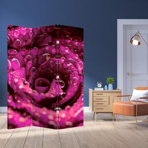 Paraván - Rózsaszín rózsa virágzata (126x170 cm)