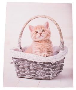Kittie in basket vászonkép, 30 x 40 cm