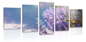 5 részes kép levandula kert
