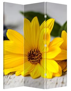 Paraván - Sárga virágok (135x180 cm)