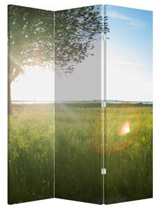 Paraván - Nyári rét (126x170 cm)