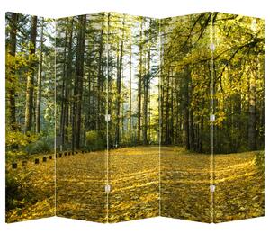 Paraván - Erdő ősszel (225x180 cm)