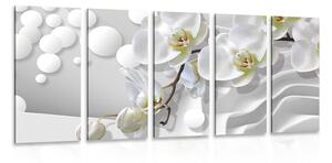 5-részes kép orchidea absztrakt háttéren