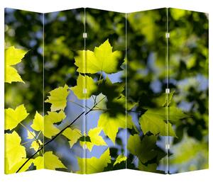 Paraván - Juhar levelek (225x180 cm)