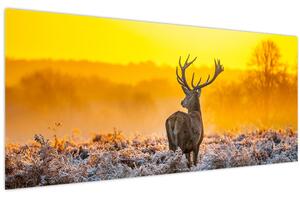 Kép - Szarvas napfelkeltekor (120x50 cm)