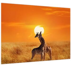 Kép - Zsiráfok a Serengeti Nemzeti Parkban (70x50 cm)