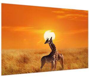 Kép - Zsiráfok a Serengeti Nemzeti Parkban (90x60 cm)