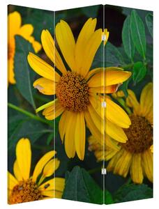 Paraván - Sárga virágok (126x170 cm)