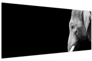 Kép - Elefánt (120x50 cm)