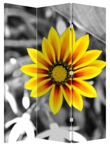 Paraván - Sárga virágok (126x170 cm)