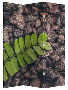 Paraván - Zöld növények (126x170 cm)
