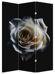 Paraván - Fehér rózsa (126x170 cm)
