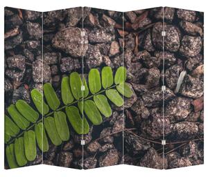 Paraván - Zöld növények (210x170 cm)