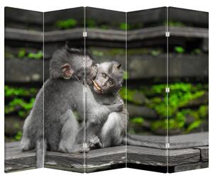 Paraván - majmok (210x170 cm)