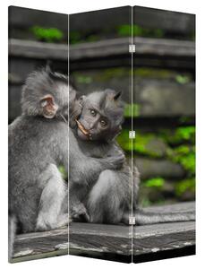 Paraván - majmok (126x170 cm)