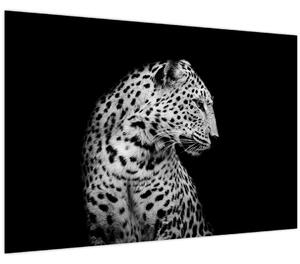 Kép - Leopárd (90x60 cm)