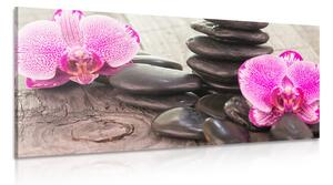 Kép orchidea és zen kövek fa háttéren