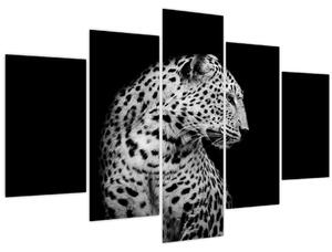 Kép - Leopárd (150x105 cm)